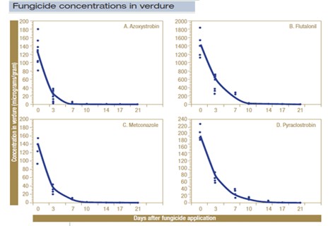 Fungicide Concentration_Turf Management Basics